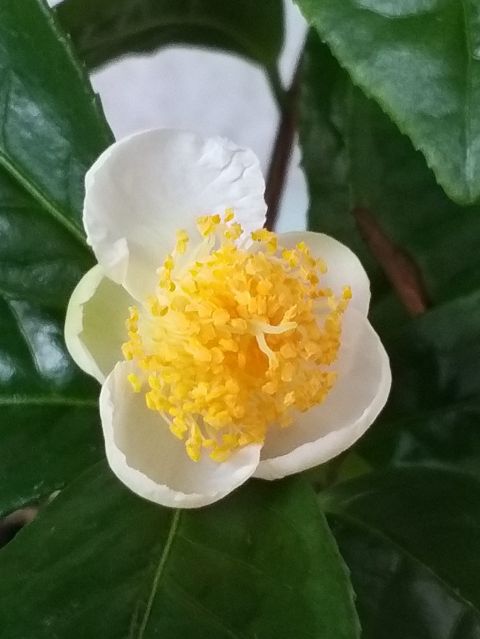 KakaoTalk_20230928_171716582_01.jpg