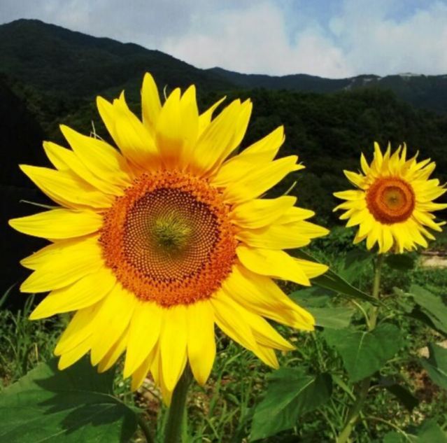 KakaoTalk_20260905_213932668.jpg