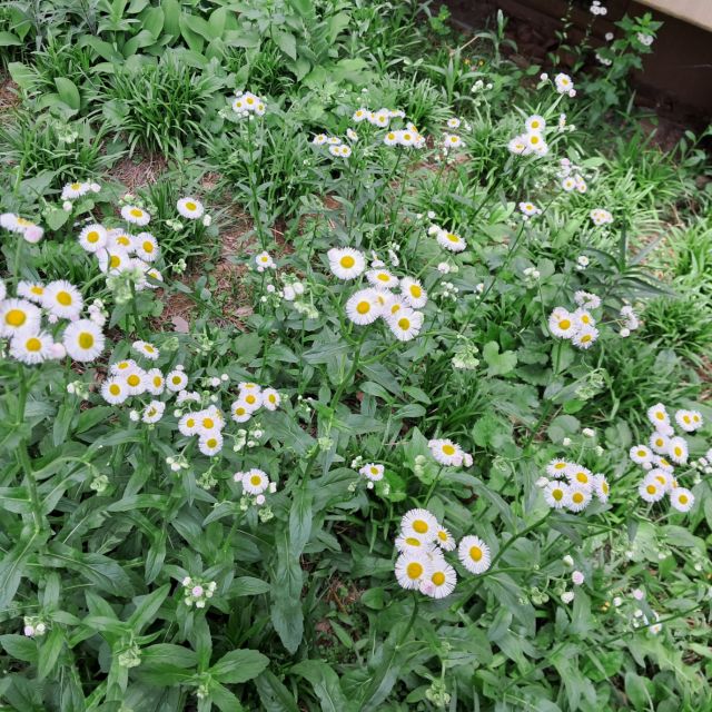 KakaoTalk_20240430_194417471_01.jpg